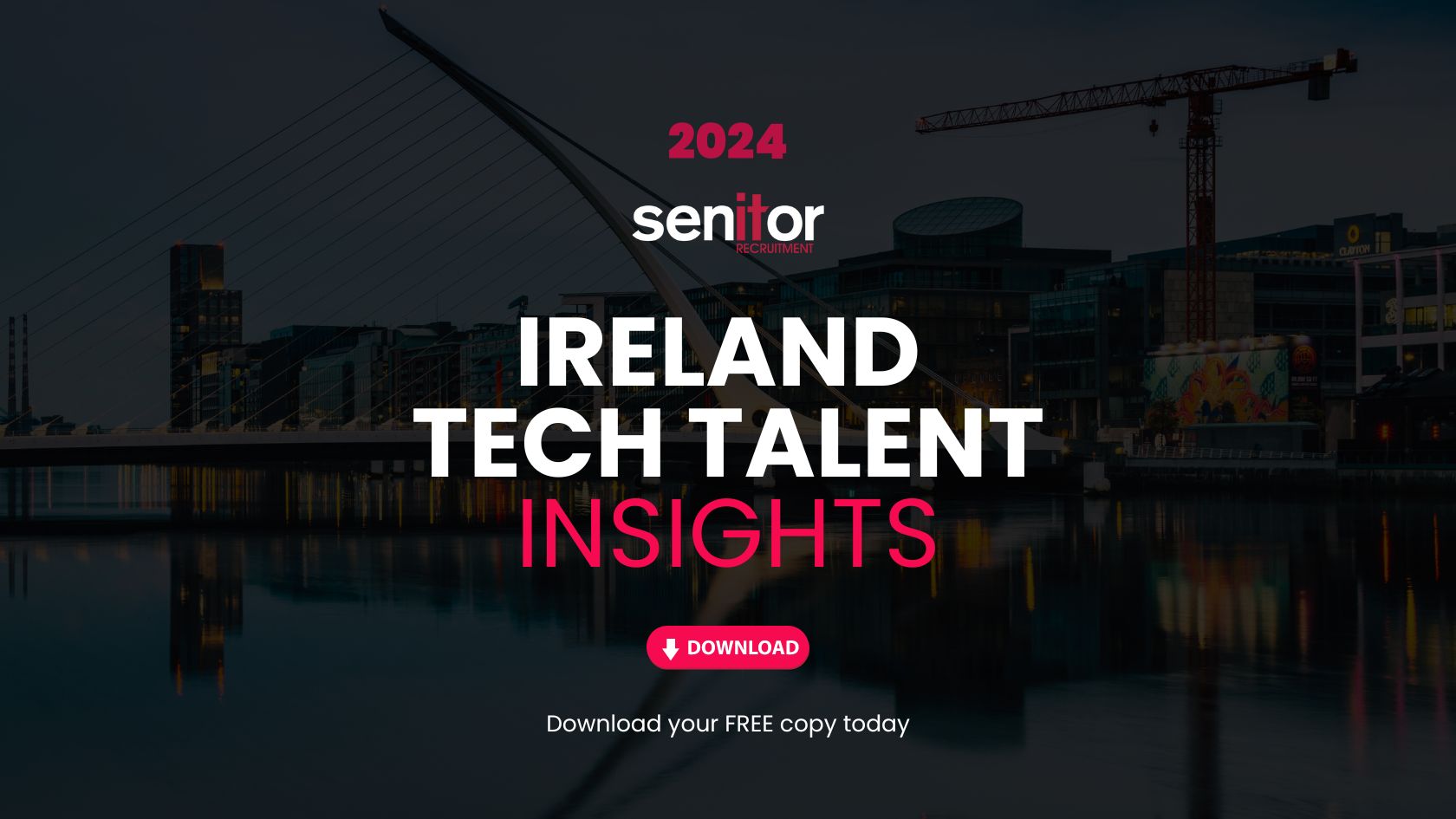 Ireland Tech Talent Insights 2024