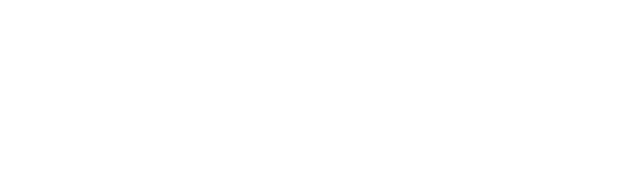 SafeRec Plus logo