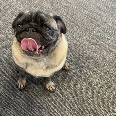 Kevin  Profile Picture