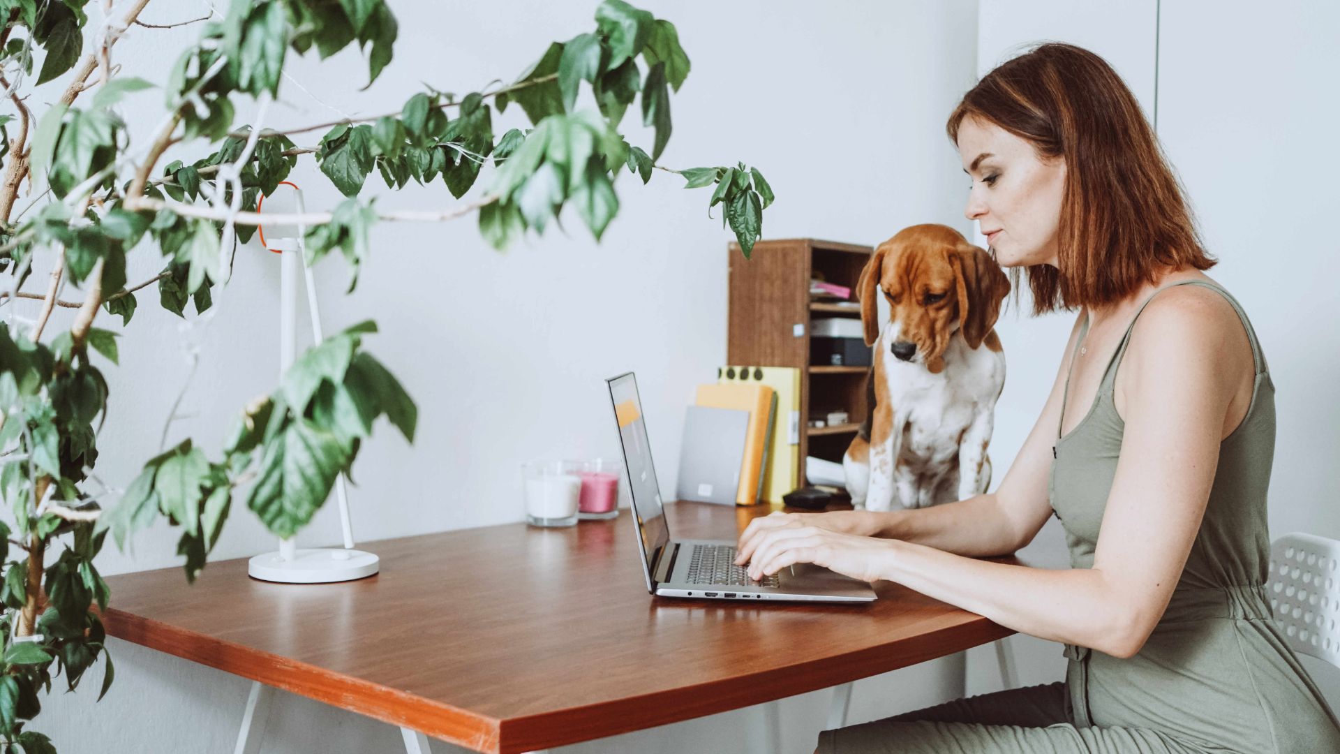 The Amazing Benefits of Taking Your Dog to Work