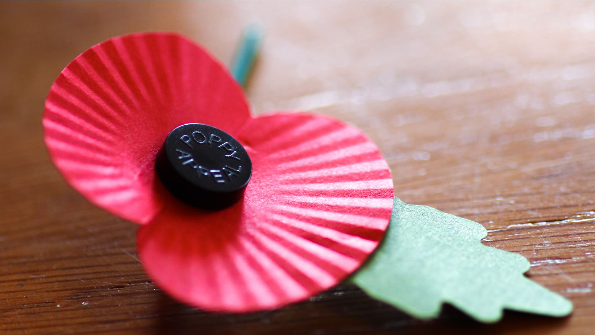 Remembrance Day In Schools: Meaningful Ways To Engage Students