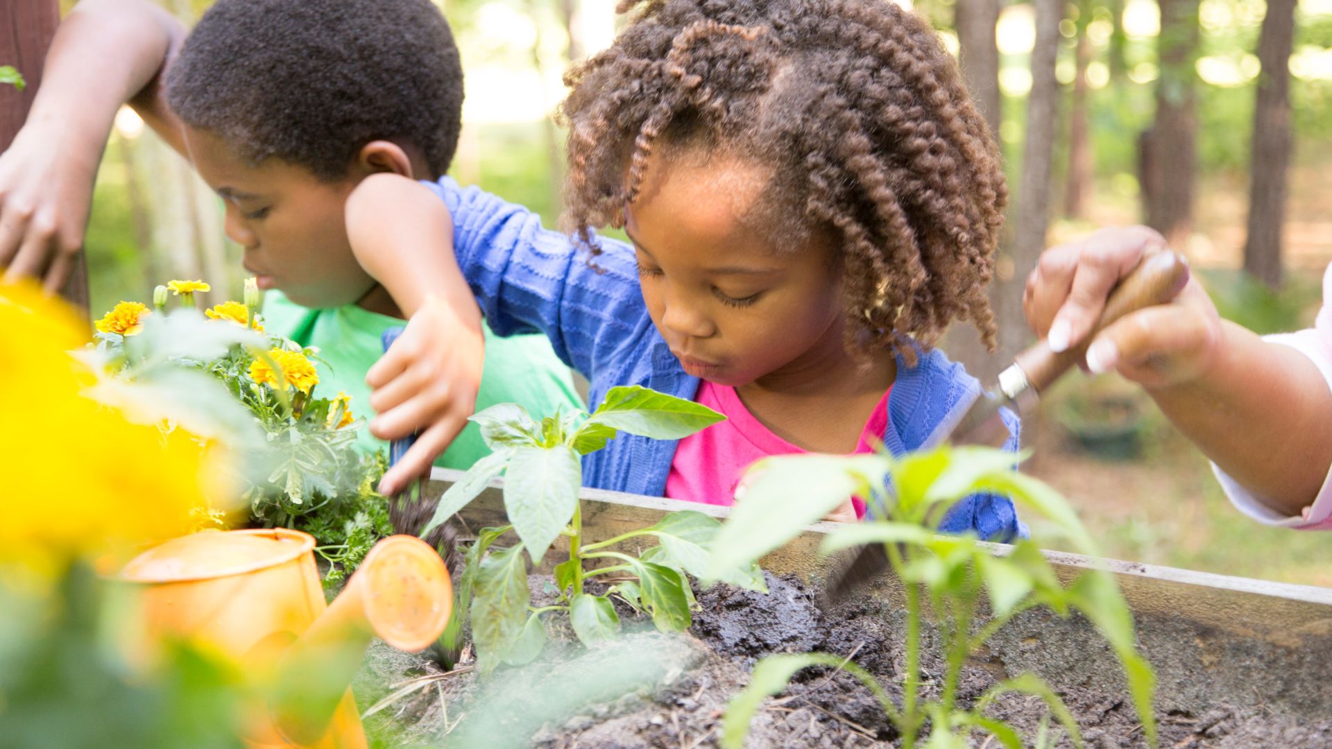 9 Ways To Celebrate Outdoor Classroom Day