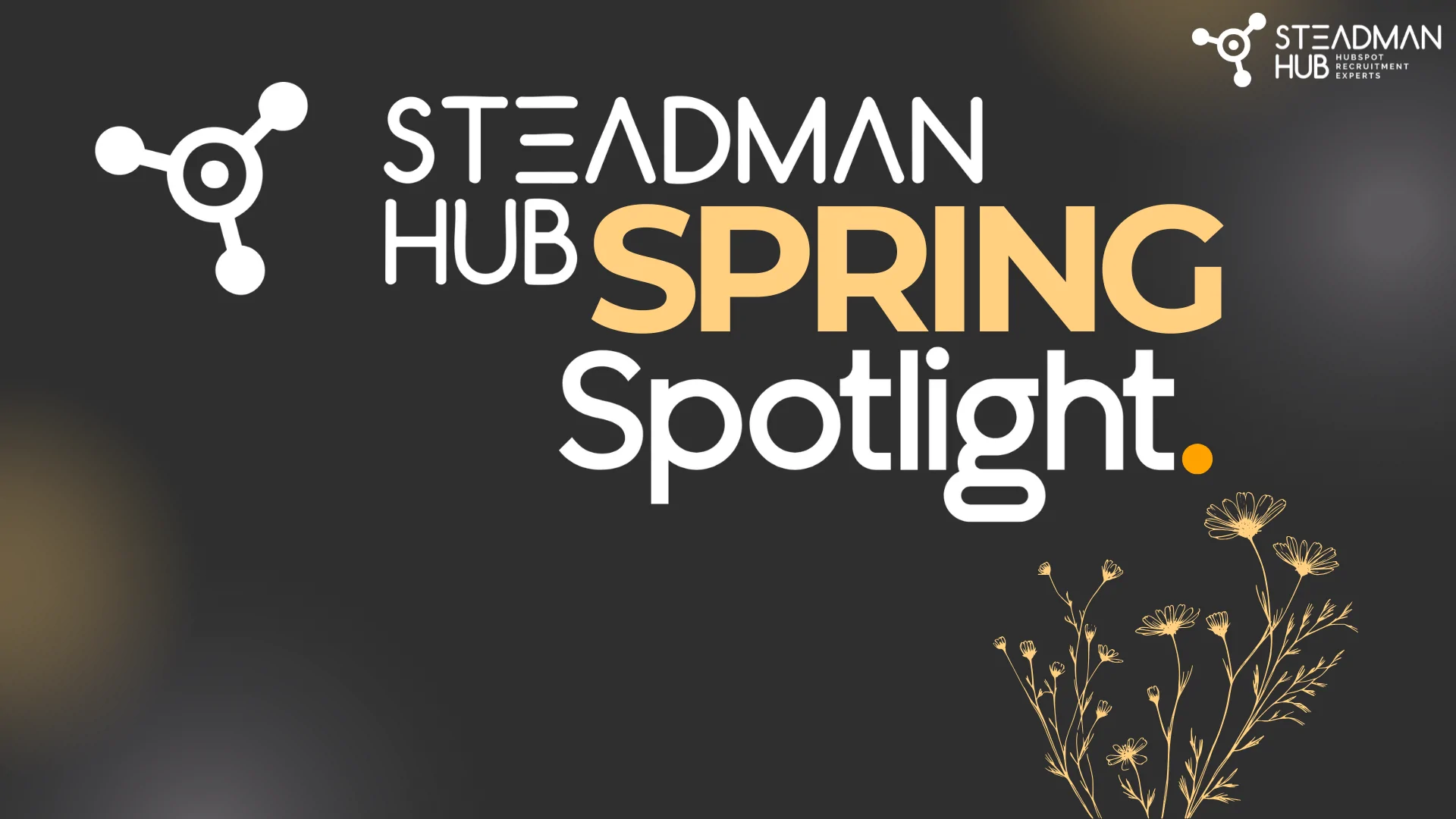 The Steadman Hub Spring Spotlight 