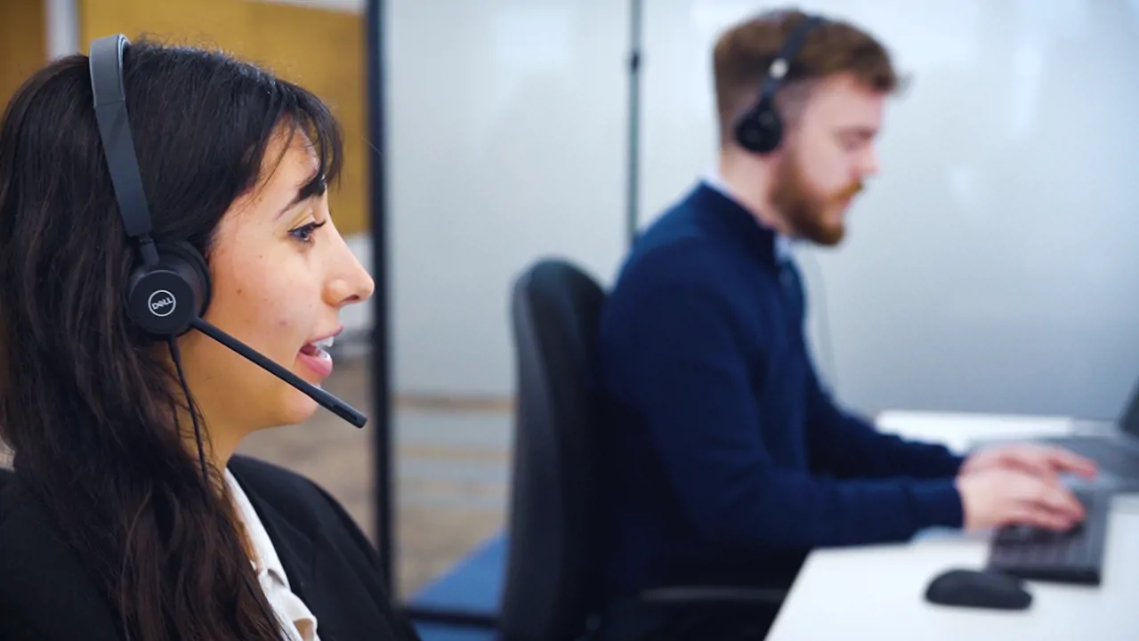 Hero background hummingbird