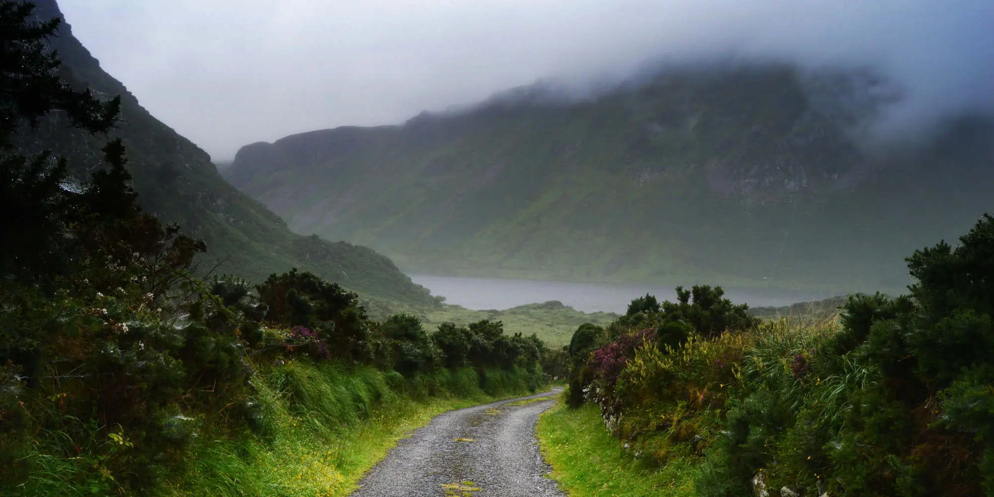 Image: The mist rolls in over the Dingle Peninsula