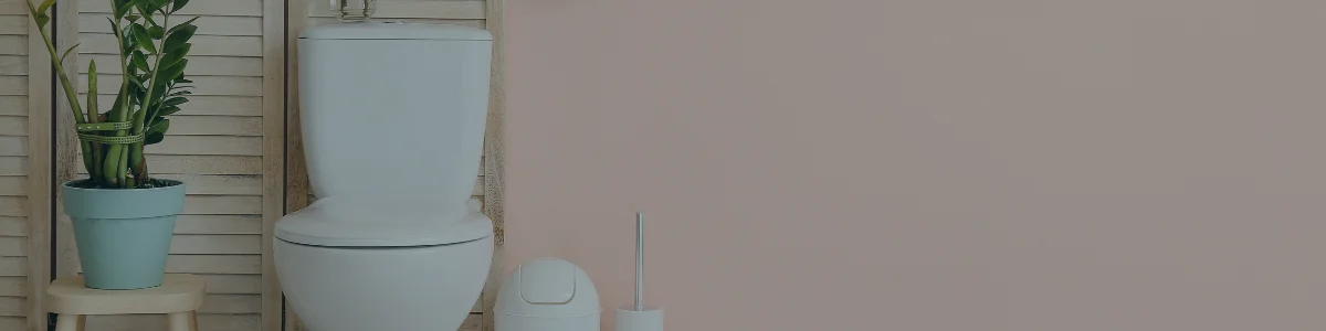 Appointing a Head of Growth to scale Wype’s next phase of expansion