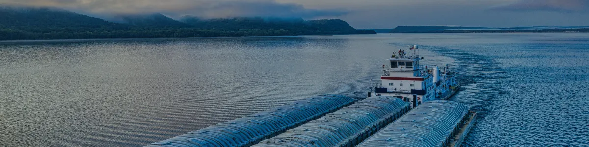 Supporting ANEMOI with Marketing Executive hires to grow their marketing function