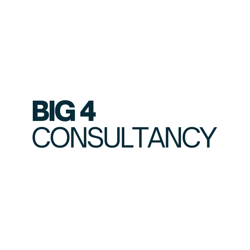 Supporting a Big 4 Consultancy Firm with the hire of a Global Account Based Marketing Assistant Director
