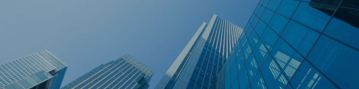 Scaling a bids function for a specialist insurance firm during a period of growth