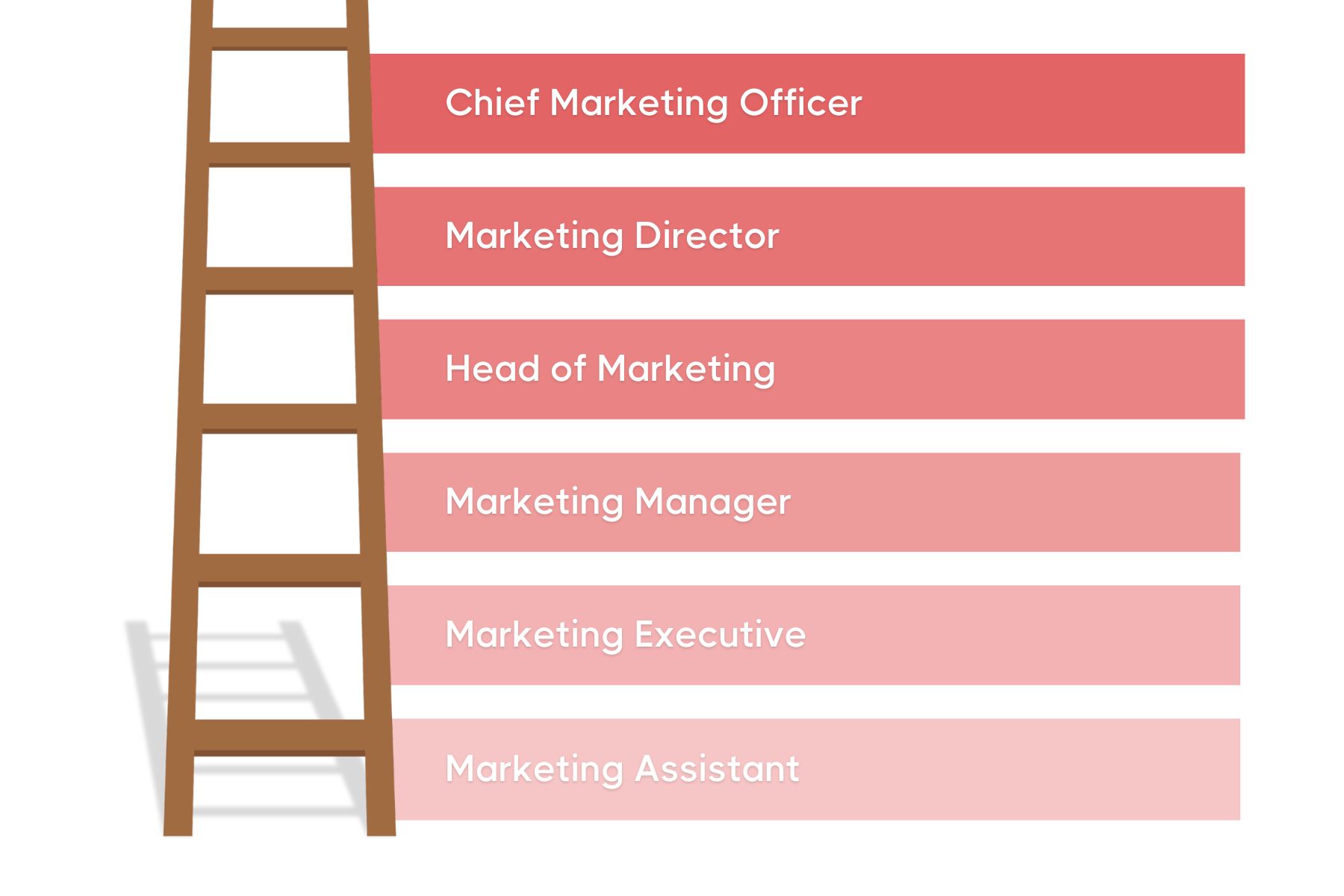 Illustration of a career ladder in marketing, represented as a vertical ladder with steps labeled from bottom to top: Marketing Assistant, Marketing Executive, Marketing Manager, Head of Marketing, Marketing Director, and Chief Marketing Officer.