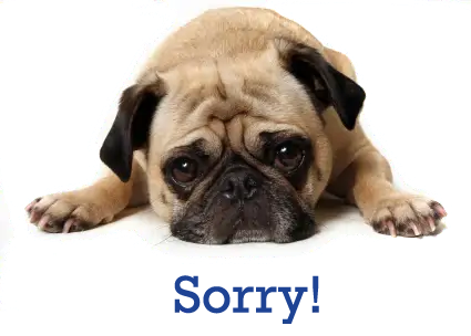 A picture of a sad dog saying sorry