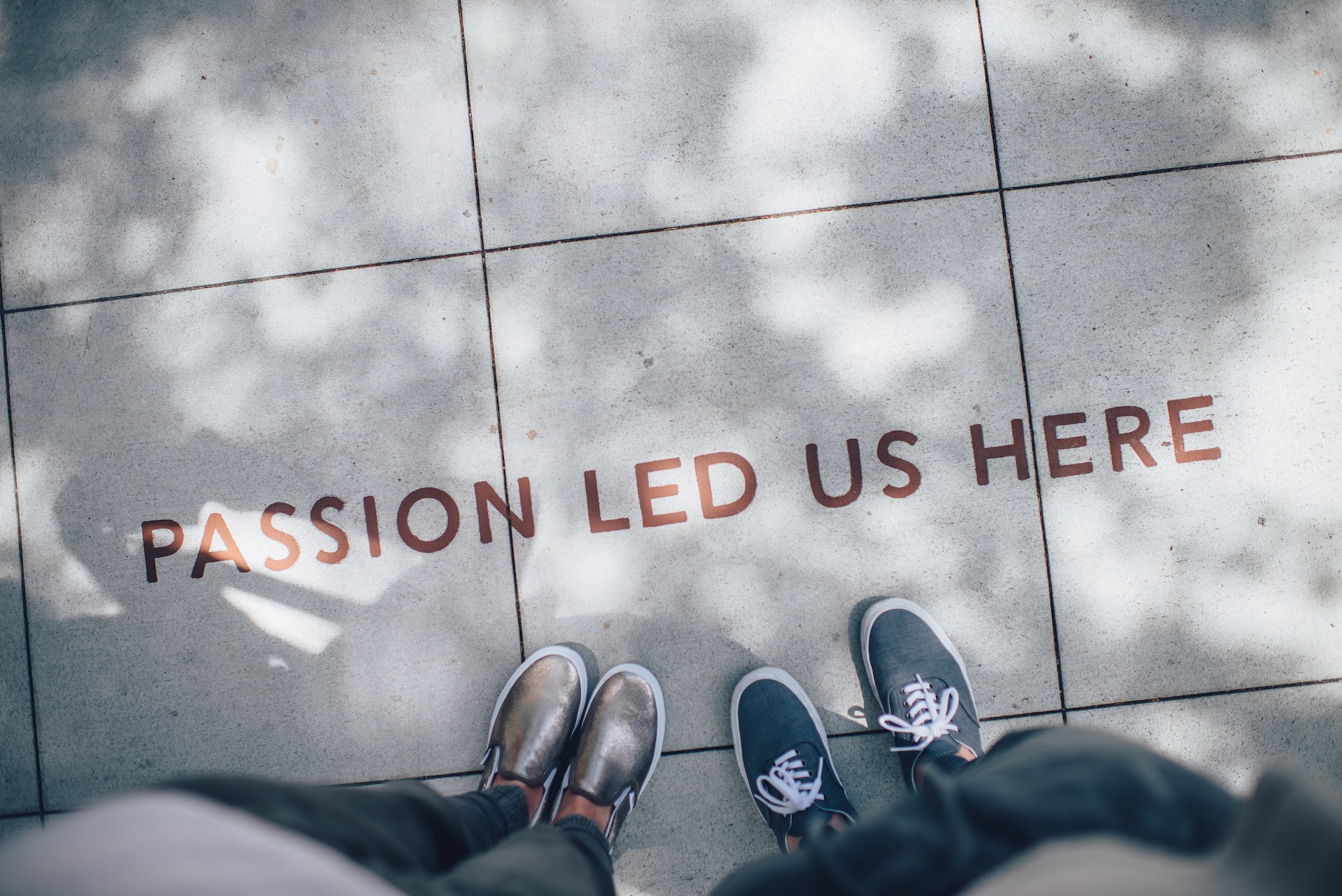 The phrase 'passion led us here' is displayed in a bold, red font on the ground