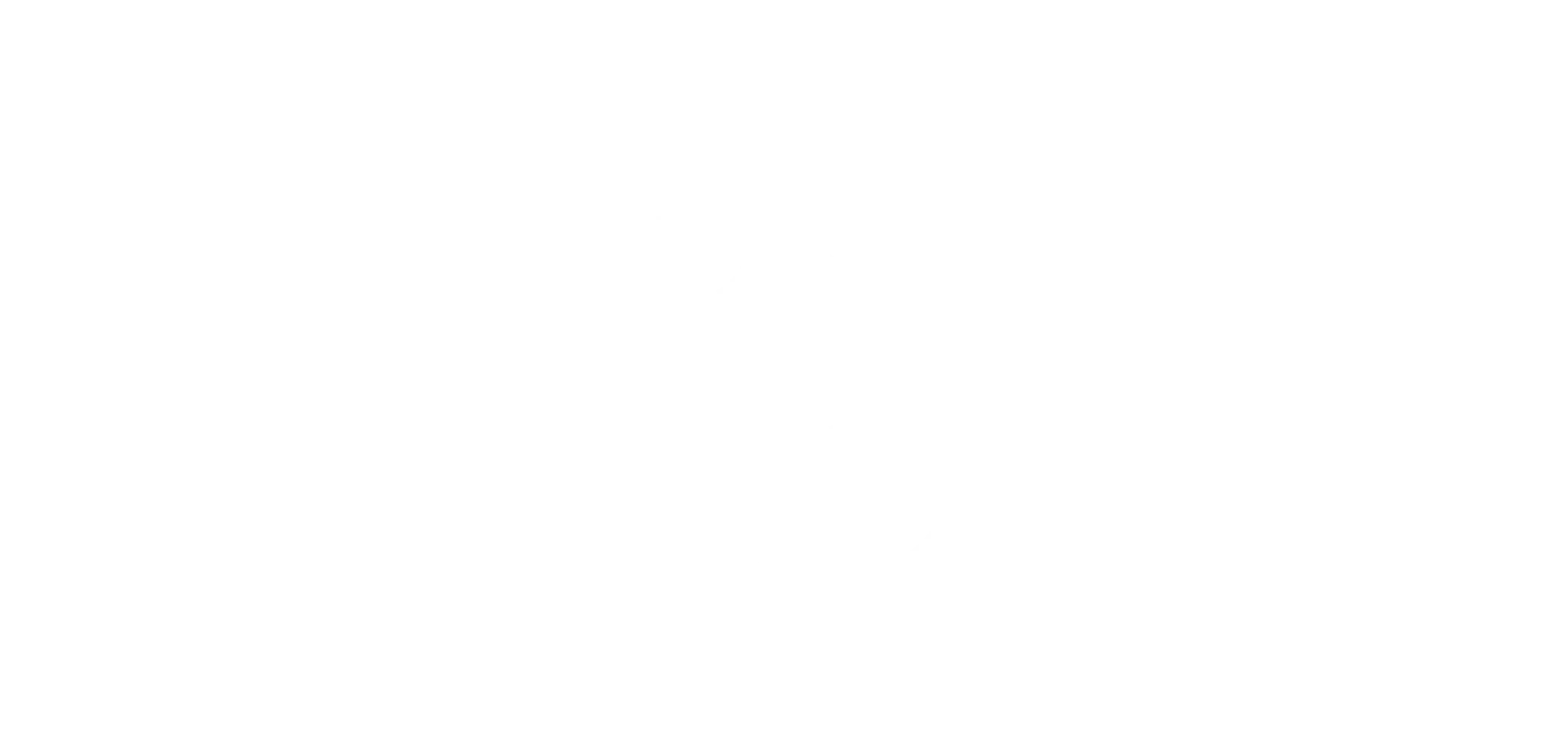 RNID Case Study - Dynamics Platform Optimisation