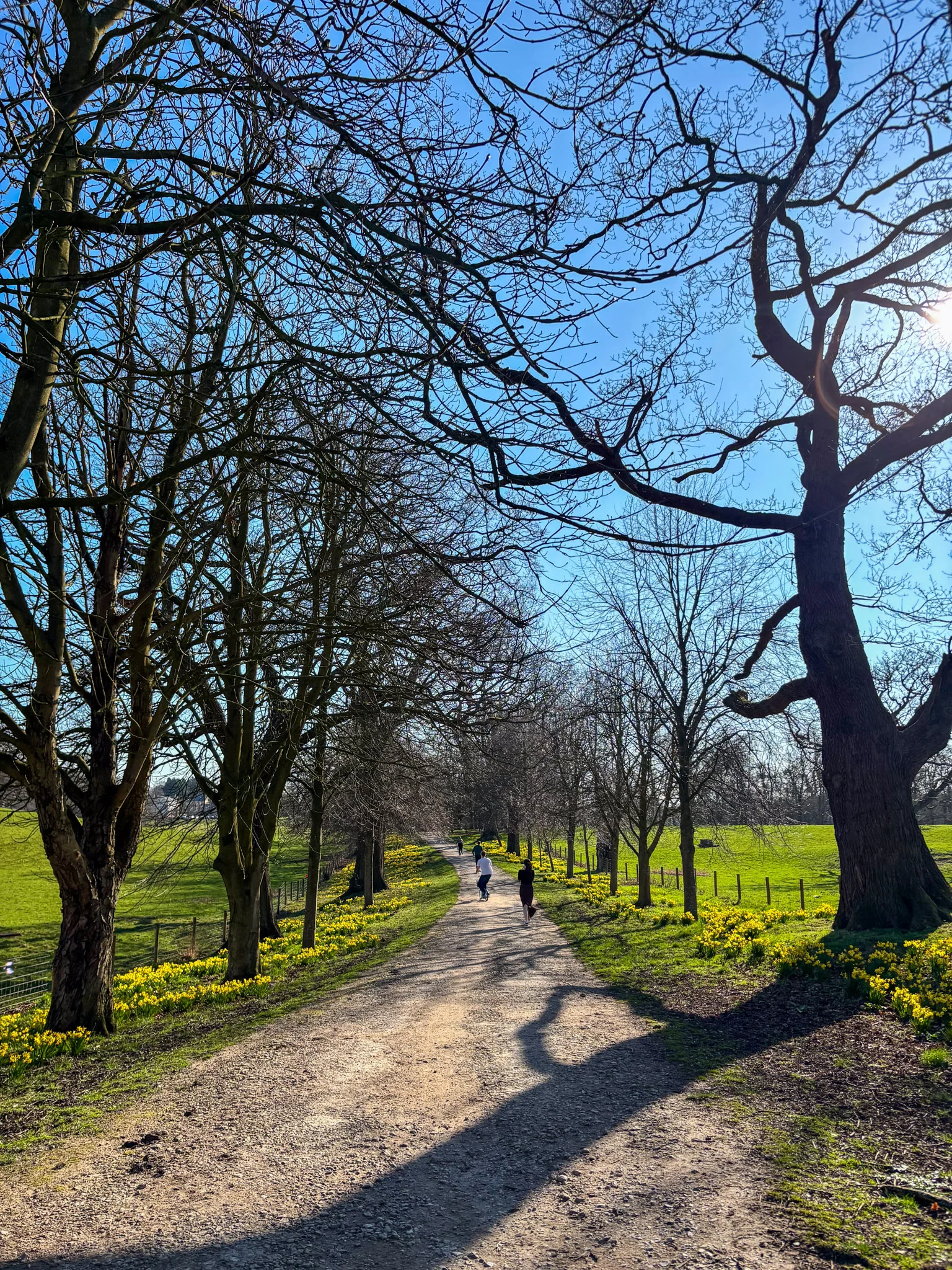 image for Alderley Park tab