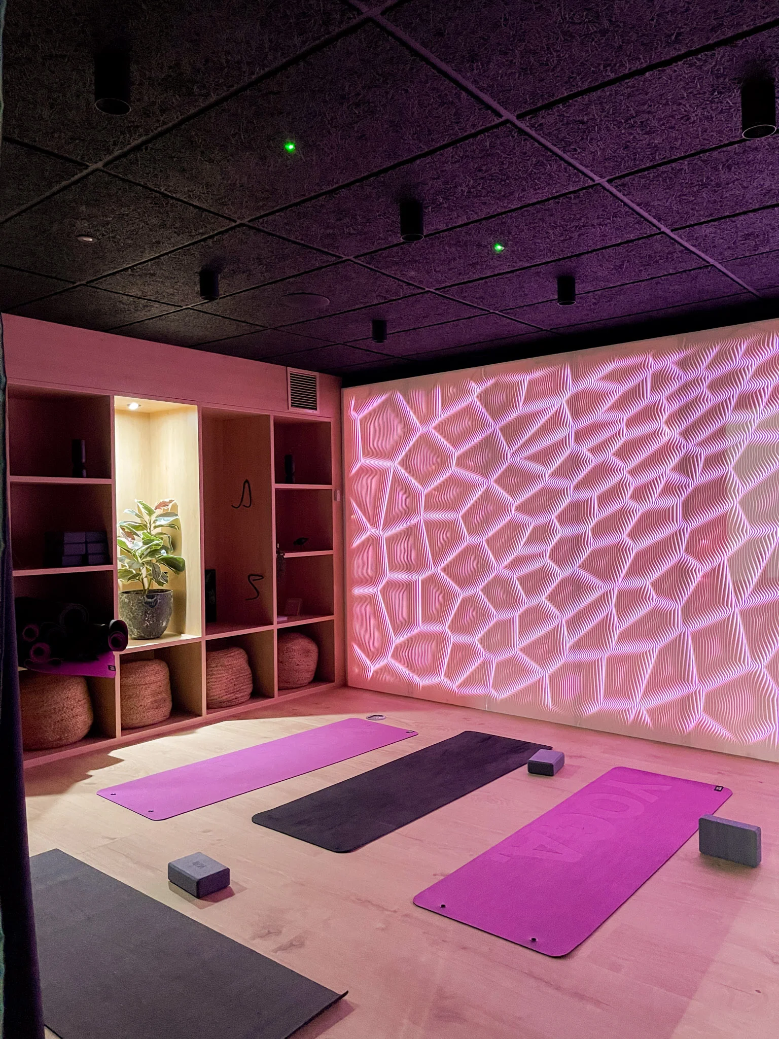 image for Wellness Studio tab