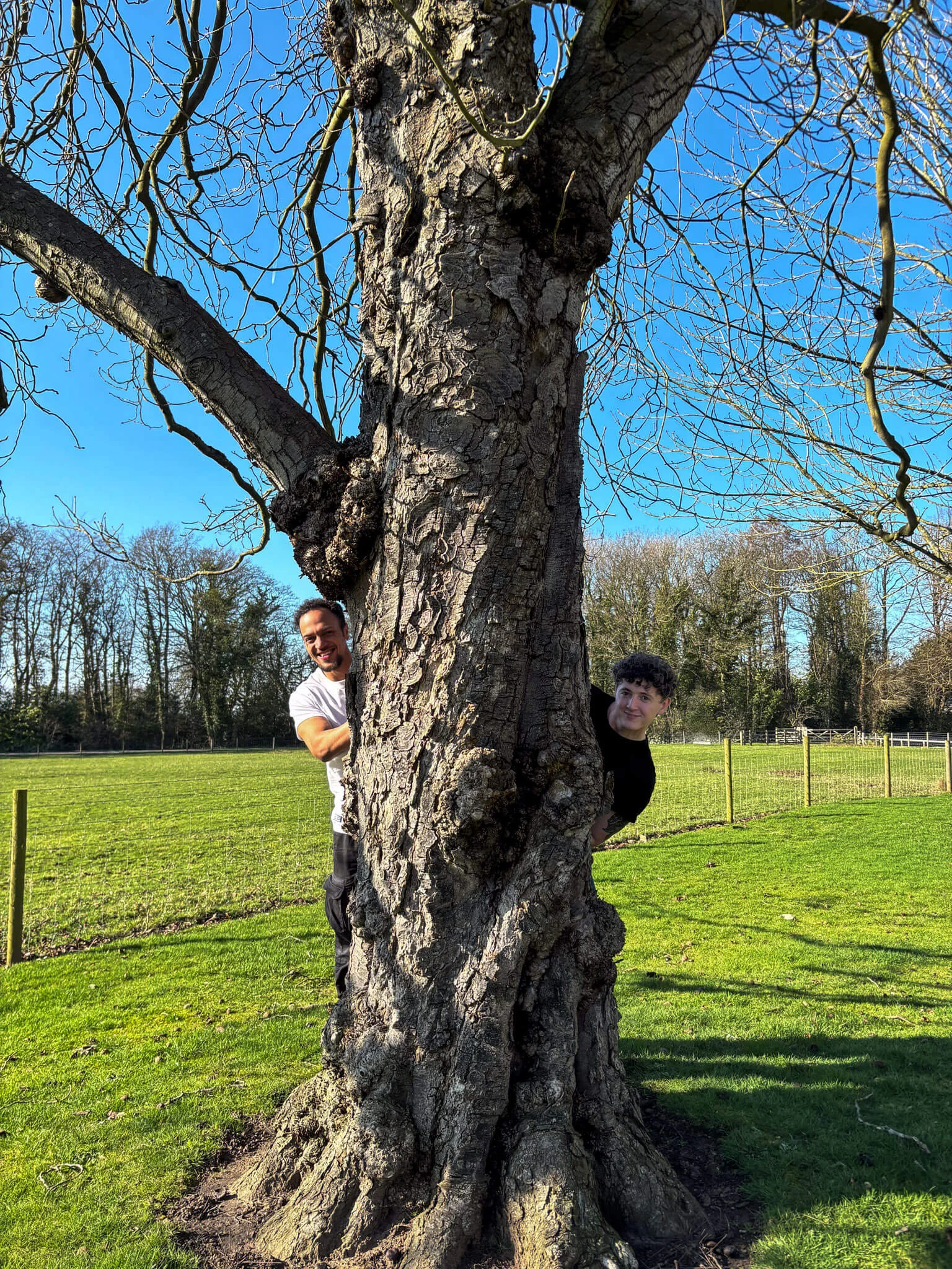 image for What We Do section