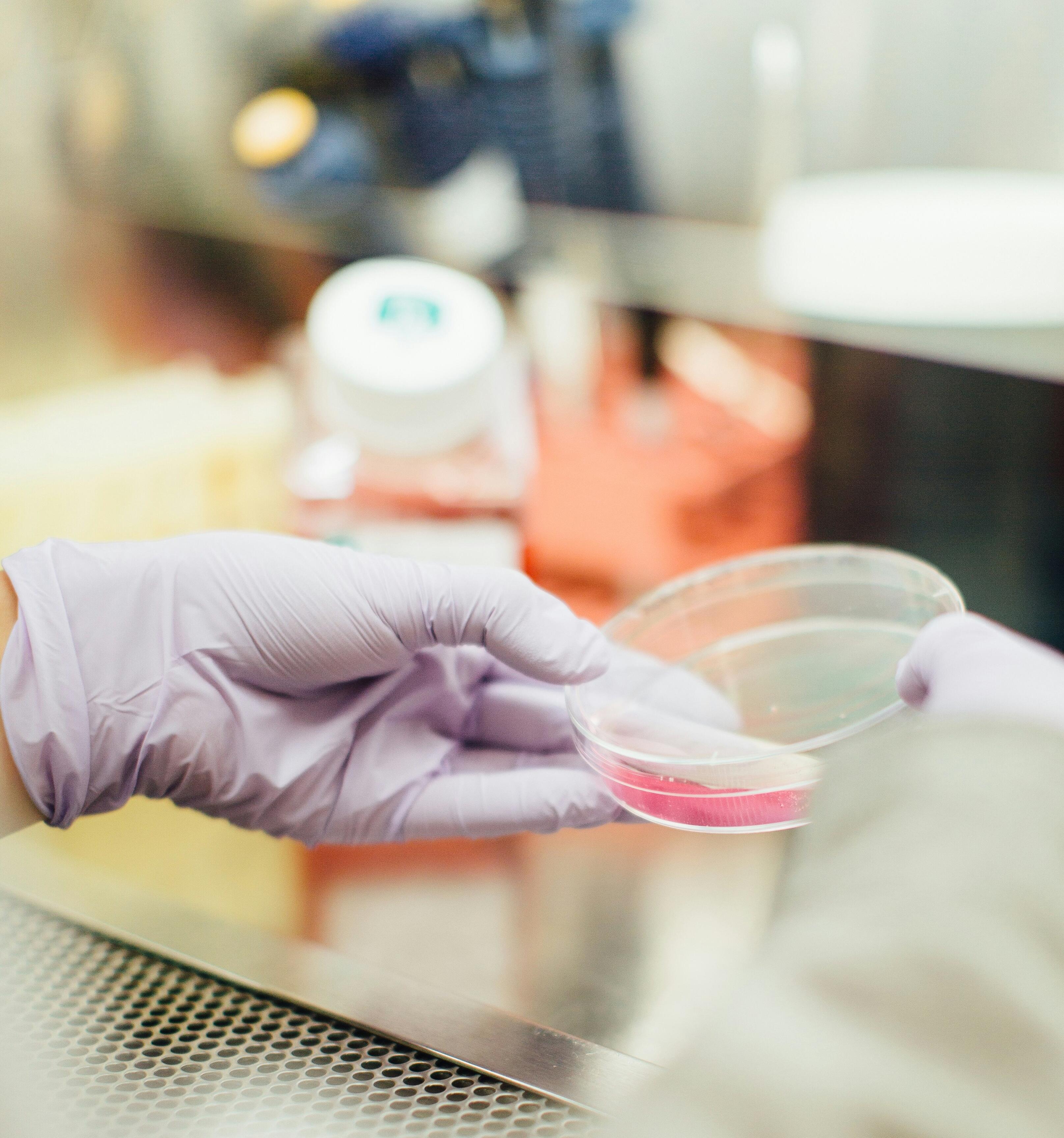 5 Regions in Switzerland Impacting the Life Sciences Industry