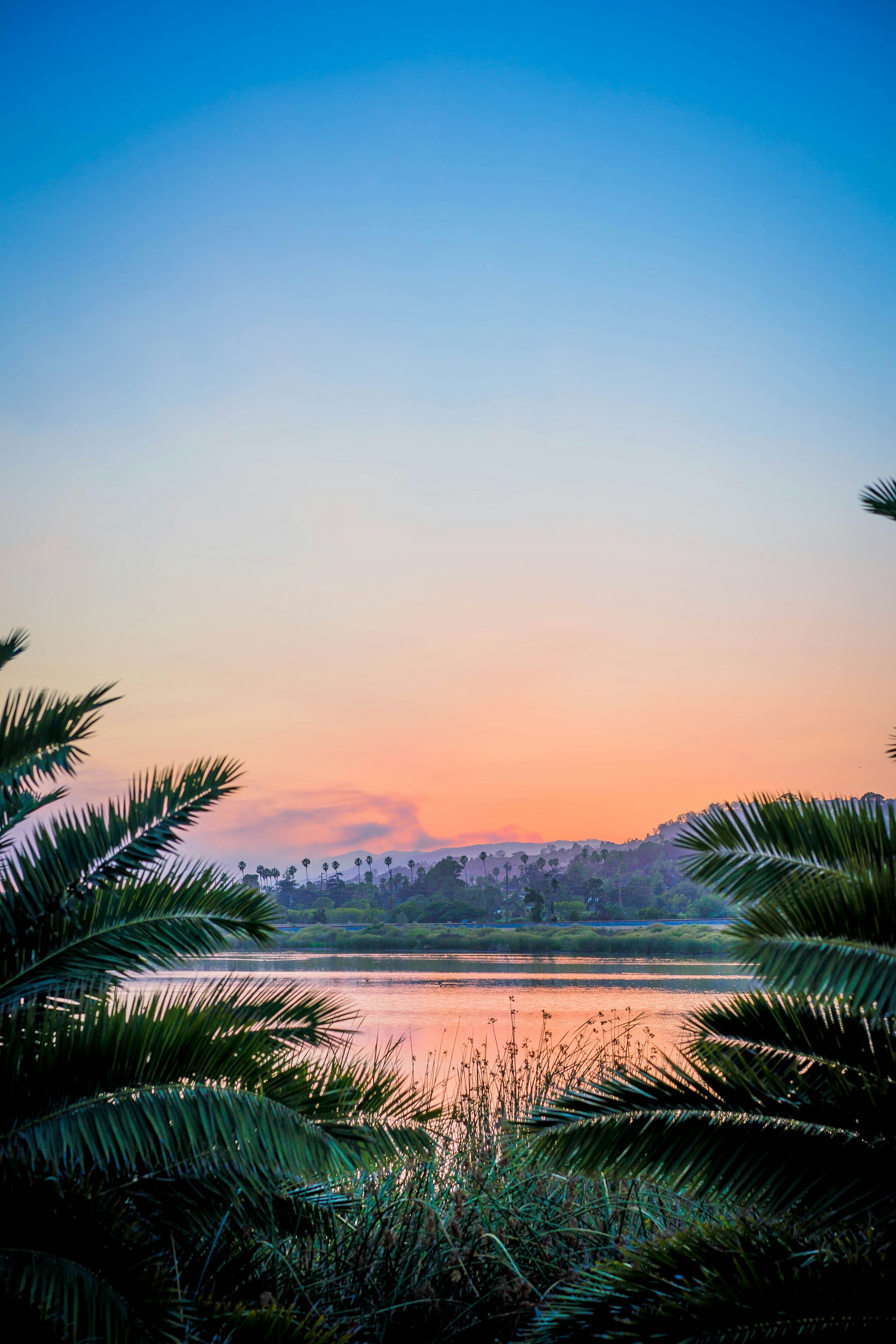 Photo from Unsplash