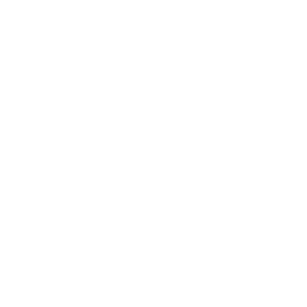 white arrow icon facing up