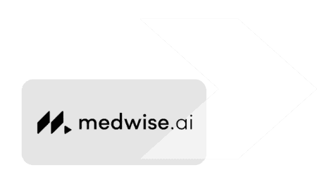 Medwise.ai Grey Logo